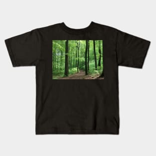 Beech  wood in spring Kids T-Shirt